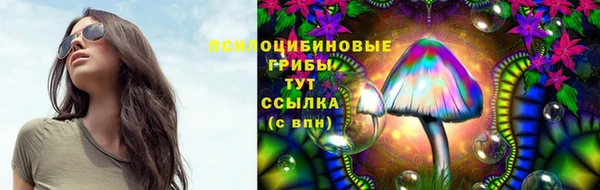 не бодяженный Абаза