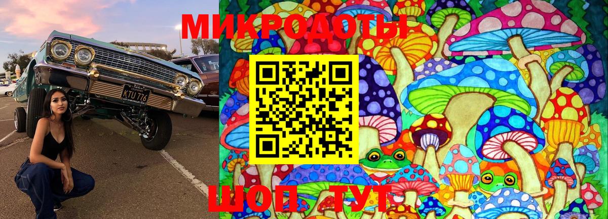 Псилоцибиновые грибы Psilocybine cubensis Саранск