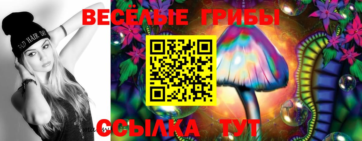 ГАШИШ Саранск
