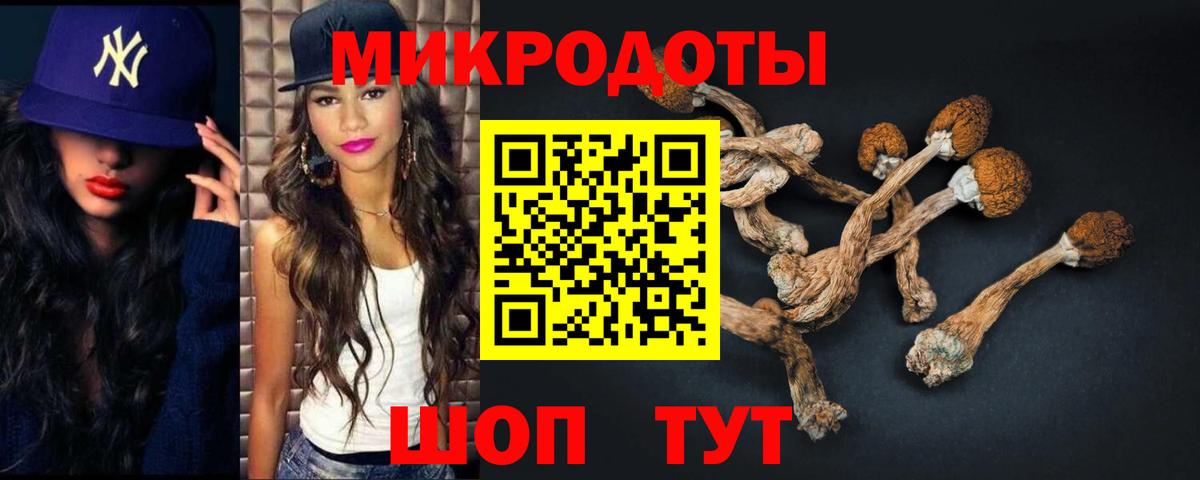 Псилоцибиновые грибы Psilocybe  Вход с VPN  Галлюциногенные грибы мухоморы  Саранск 